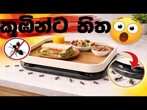 කූඹියන්ට තිත — Ant-Proof Tray